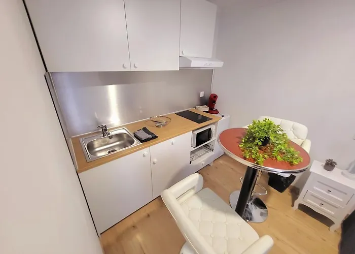 Ribère 3 - 2-room For 4 People, Boulevard De La Grotte Lourdes